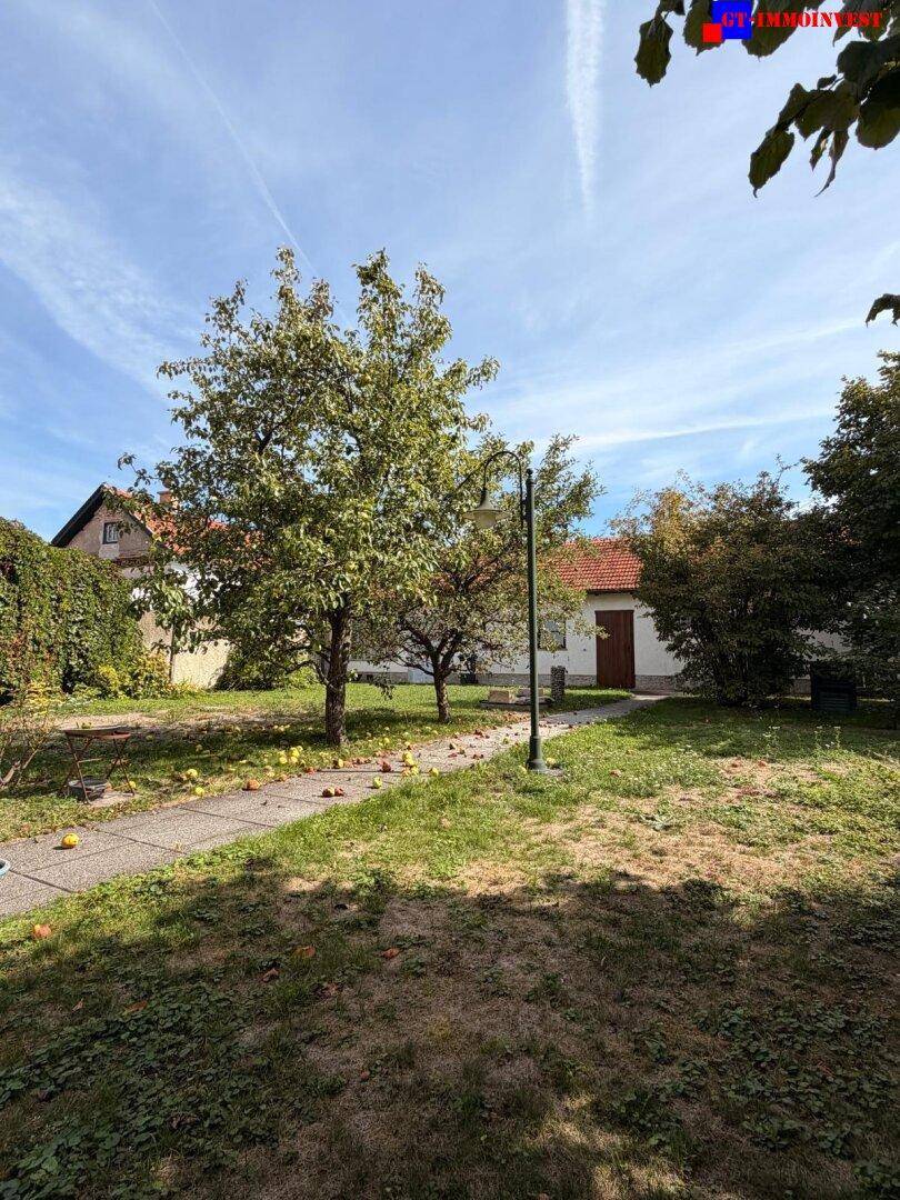 Gartenweg mit einem Apfelbaum und heruntergefallenen Äpfeln, im Hintergrund ein Nebengebäude.