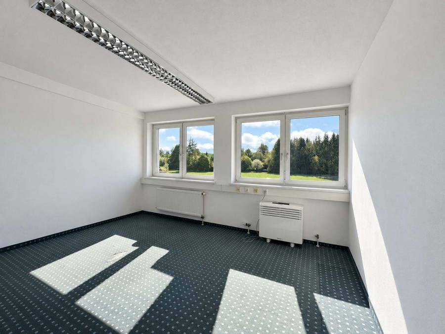 Helles Büro mit dunklem Teppichboden und Fenstern, die einen Blick ins Grüne ermöglichen.