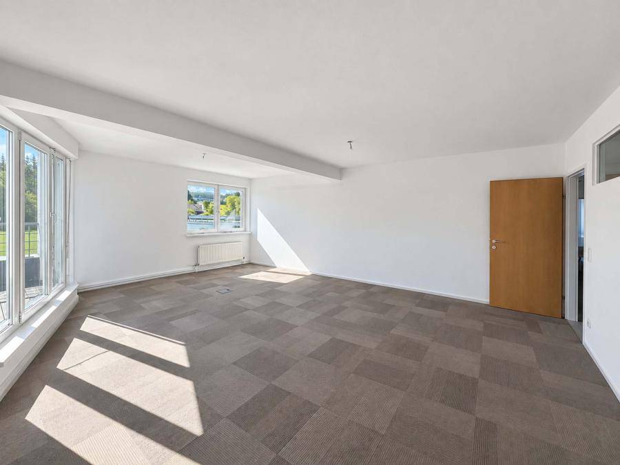 Geräumiges Büro mit Teppichboden, einem Fenster und einer Holztür, bietet viel Tageslicht.