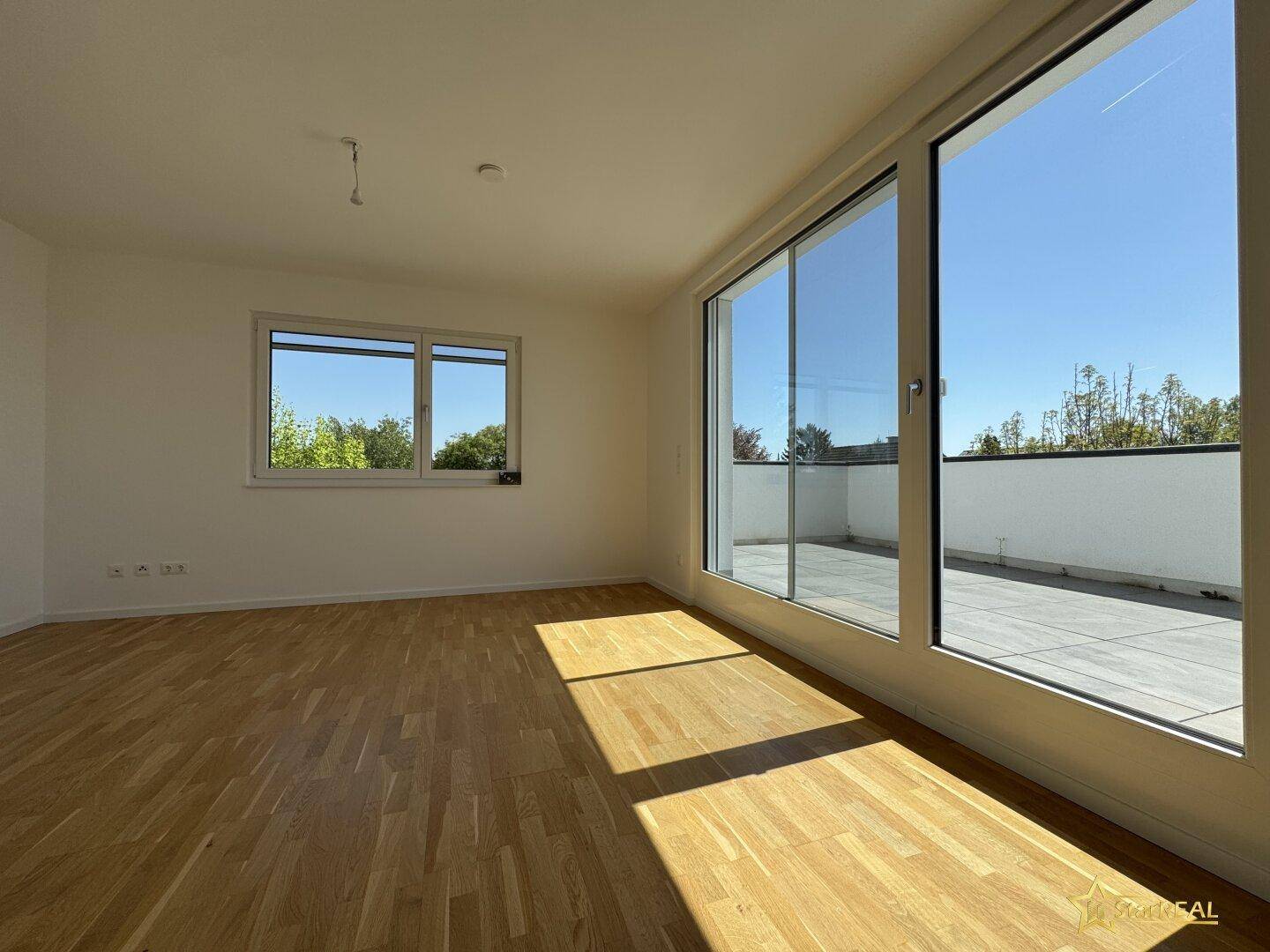 Zimmer DG