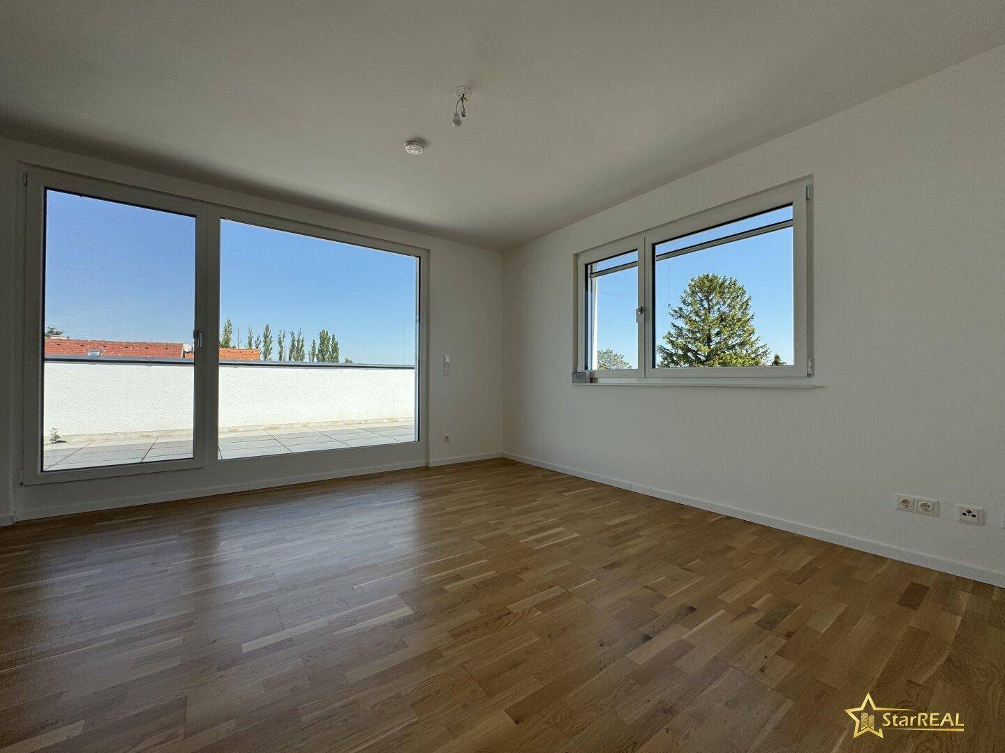 Zimmer DG
