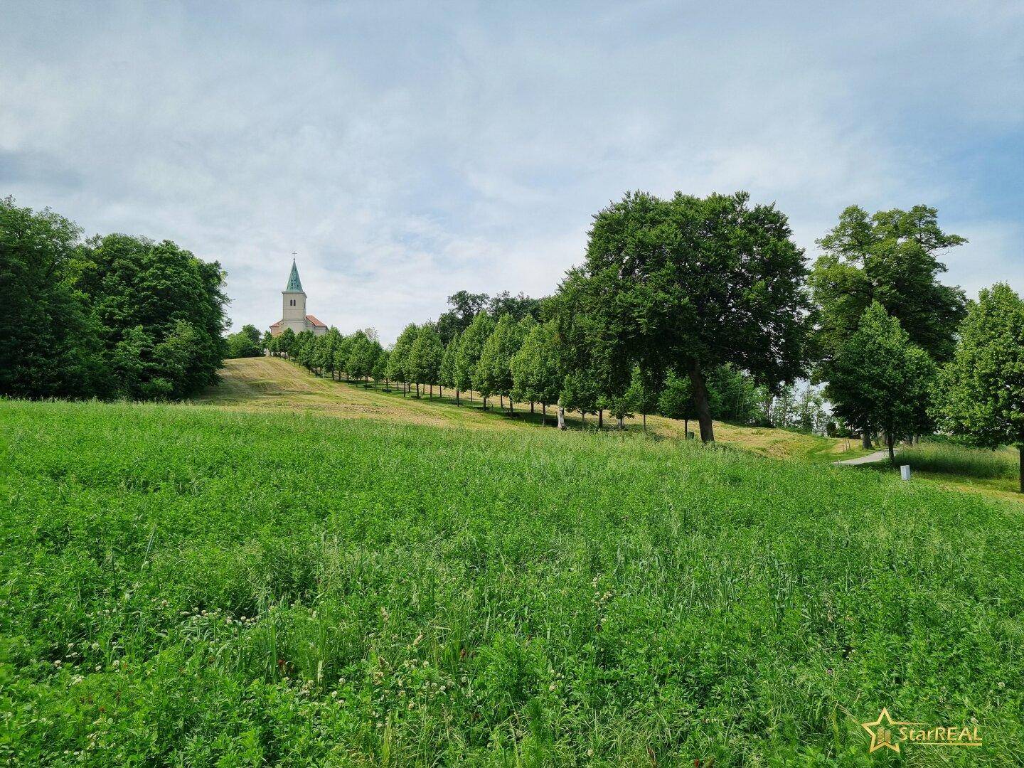 Grüne Hügellandschaft mit Baumreihe und Kirche im Hintergrund unter bewölktem Himmel.