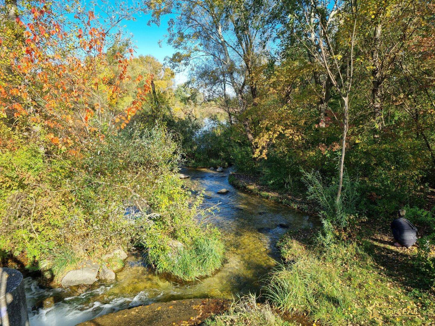 Mühlwasser