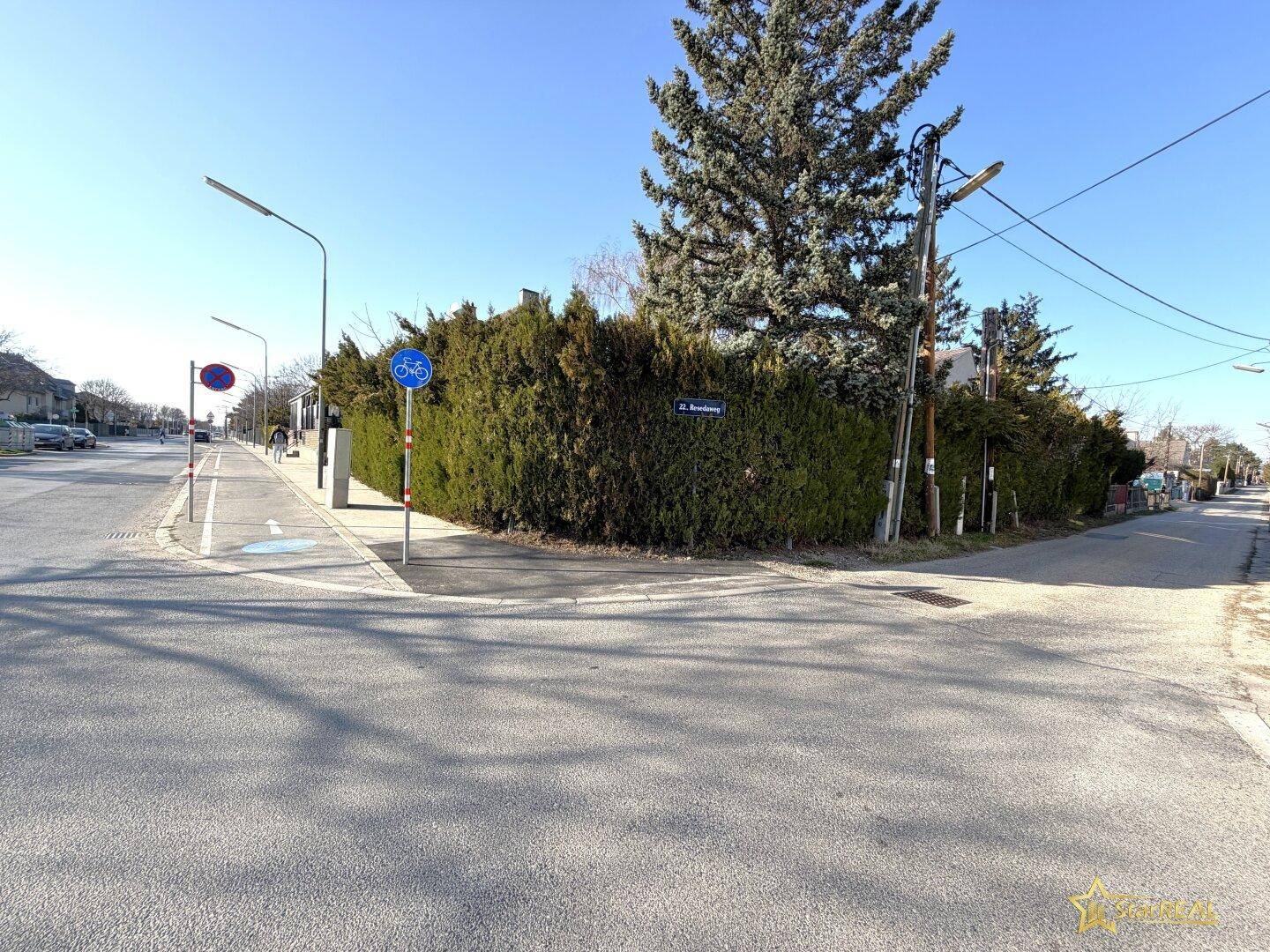 Ruhige Wohnstraße mit Hecken und Bäumen unter klarem, blauem Himmel.