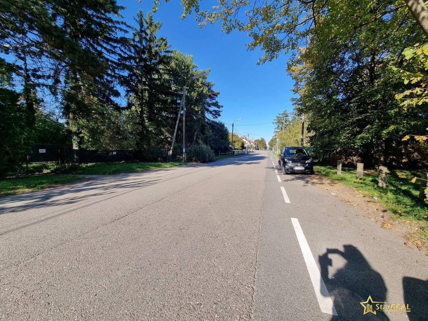 Ruhige Wohnstraße mit Bäumen und einem geparkten Auto unter blauem Himmel.