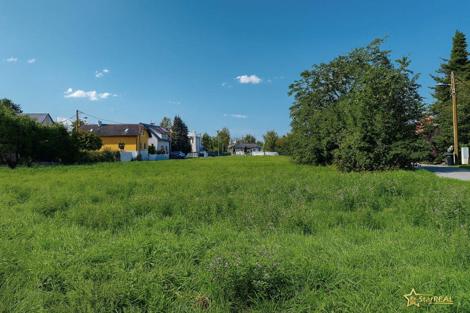 Weitläufige grüne Wiese, die das zukünftige Baugebiet für die Reihenhäuser darstellt.