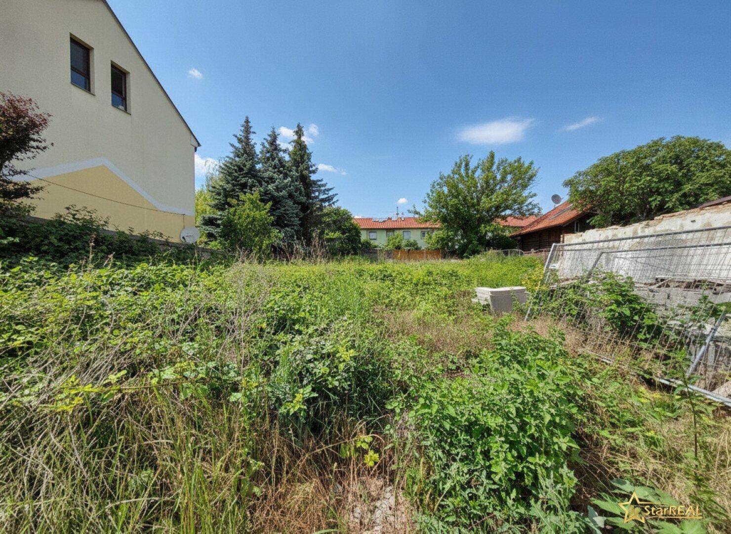 Überwuchertes Baugrundstück mit viel Grün und angrenzendem Gebäude an einem sonnigen Tag.