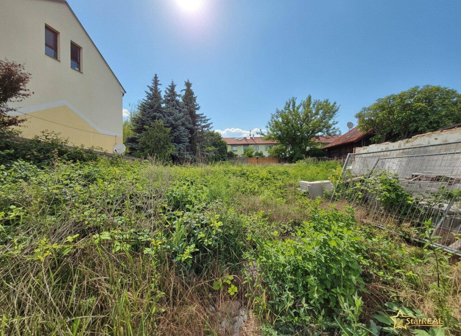 Unbebautes Grundstück mit üppiger Vegetation und sonnigem Ausblick auf umliegende Häuser.