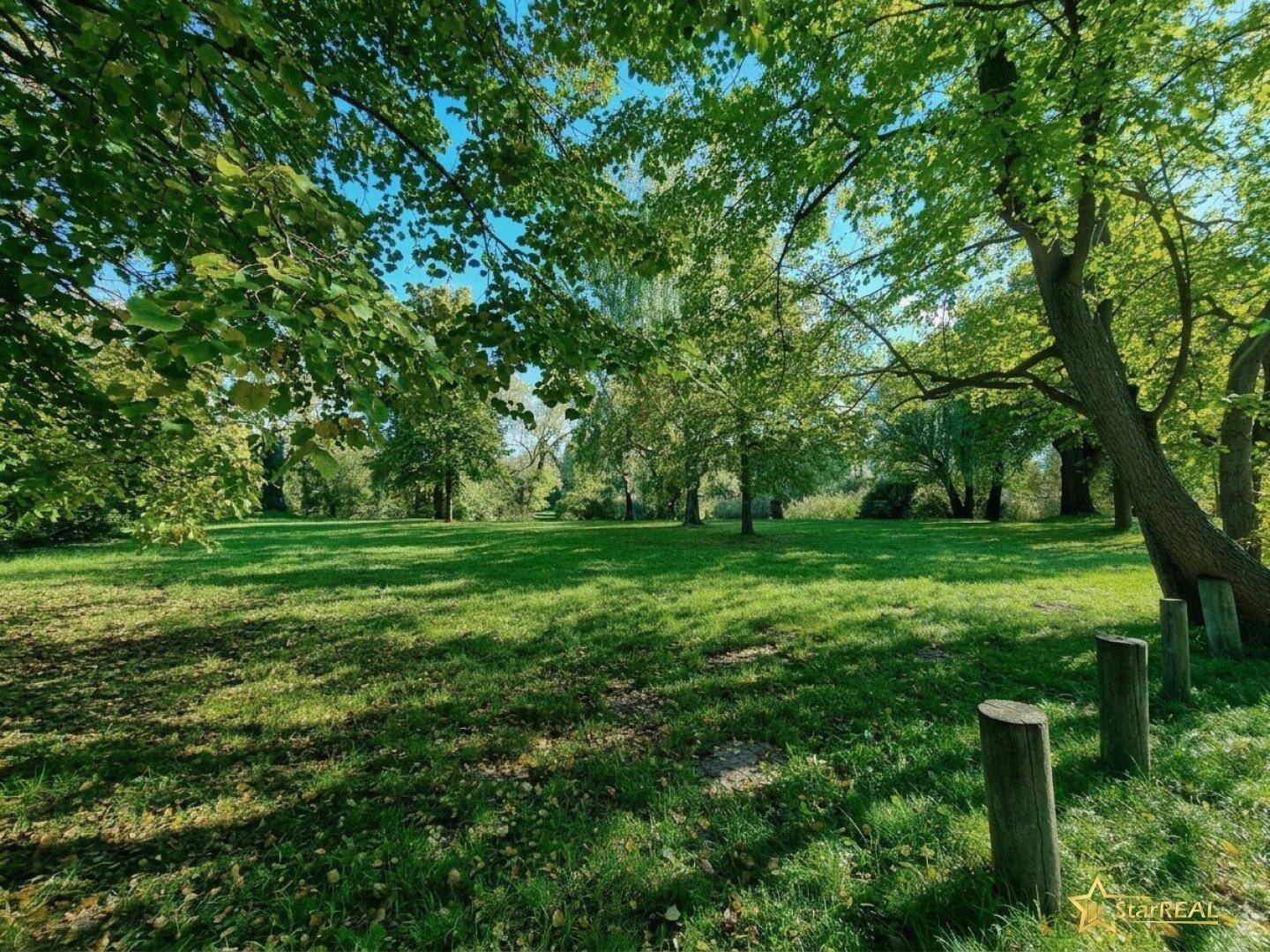 Weitläufige grüne Wiese umgeben von Bäumen unter einem strahlend blauen Himmel.