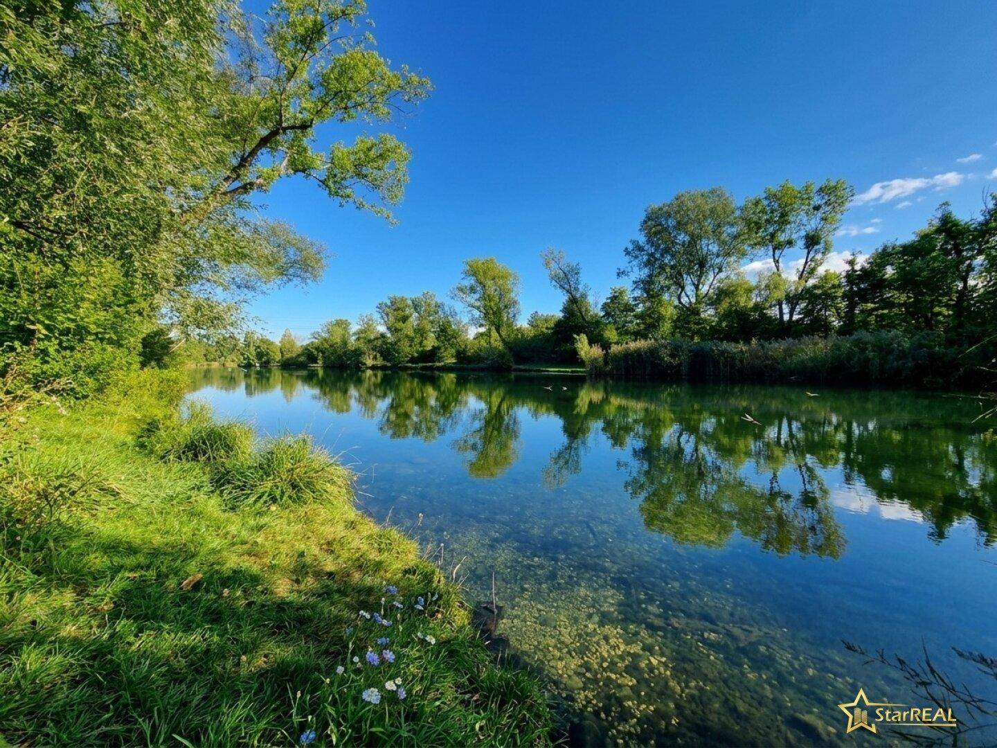 Klarer Fluss oder See mit üppiger grüner Vegetation an den Ufern unter blauem Himmel.
