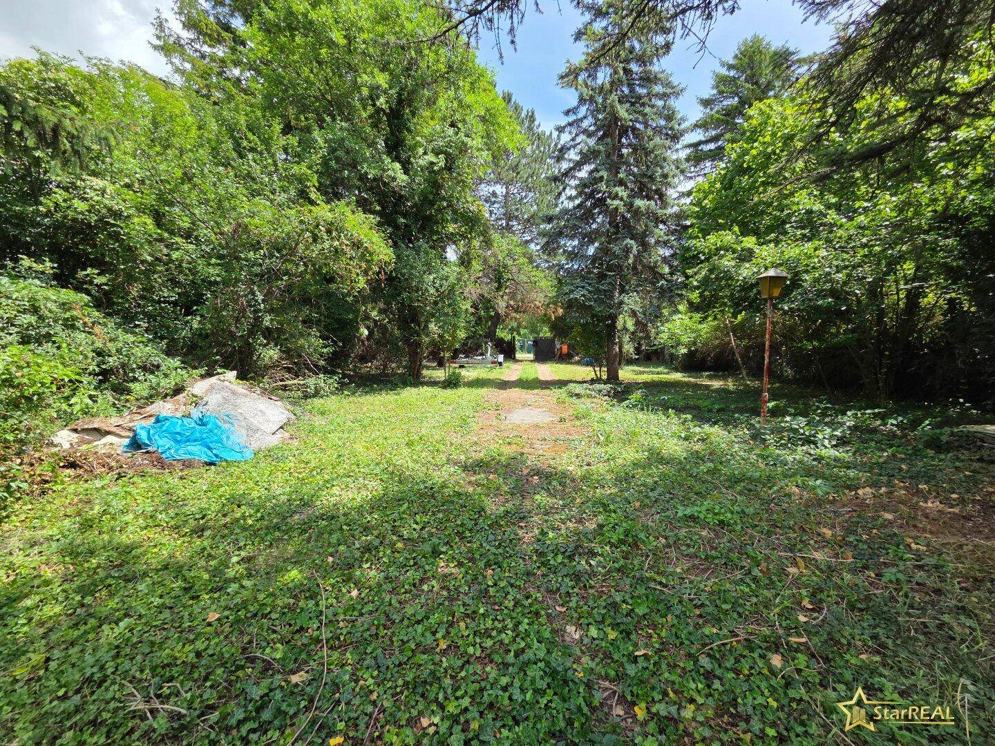 Verwilderter Gartenbereich mit einem Pfad, blauer Plane und einer alten Straßenlaterne.