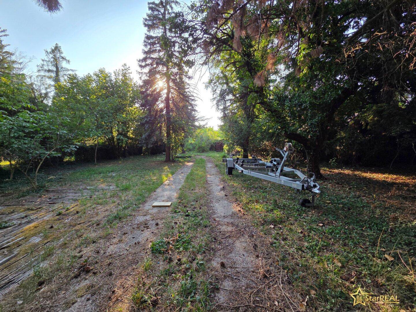 Weitläufiges Grundstück mit Baumbestand und einem unbefestigten Weg, ideal für Ruhe und Natur.