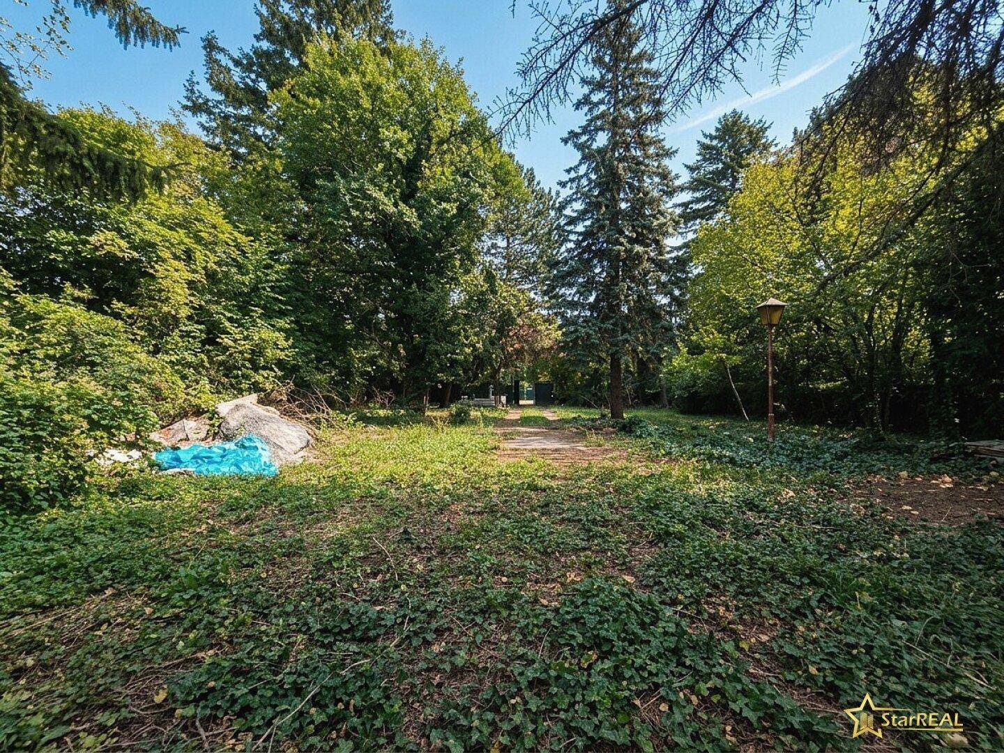 Verwilderter Gartenbereich mit altem Baumbestand und viel Grün, ideal für Naturliebhaber.
