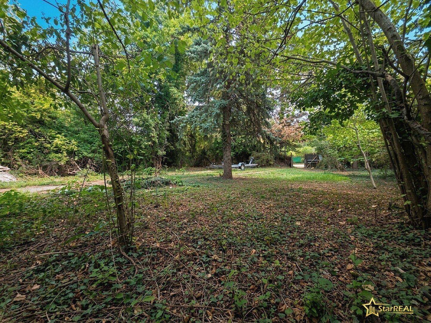 Ruhiger, bewachsener Gartenbereich umgeben von dichtem Baumbestand und viel Grün.
