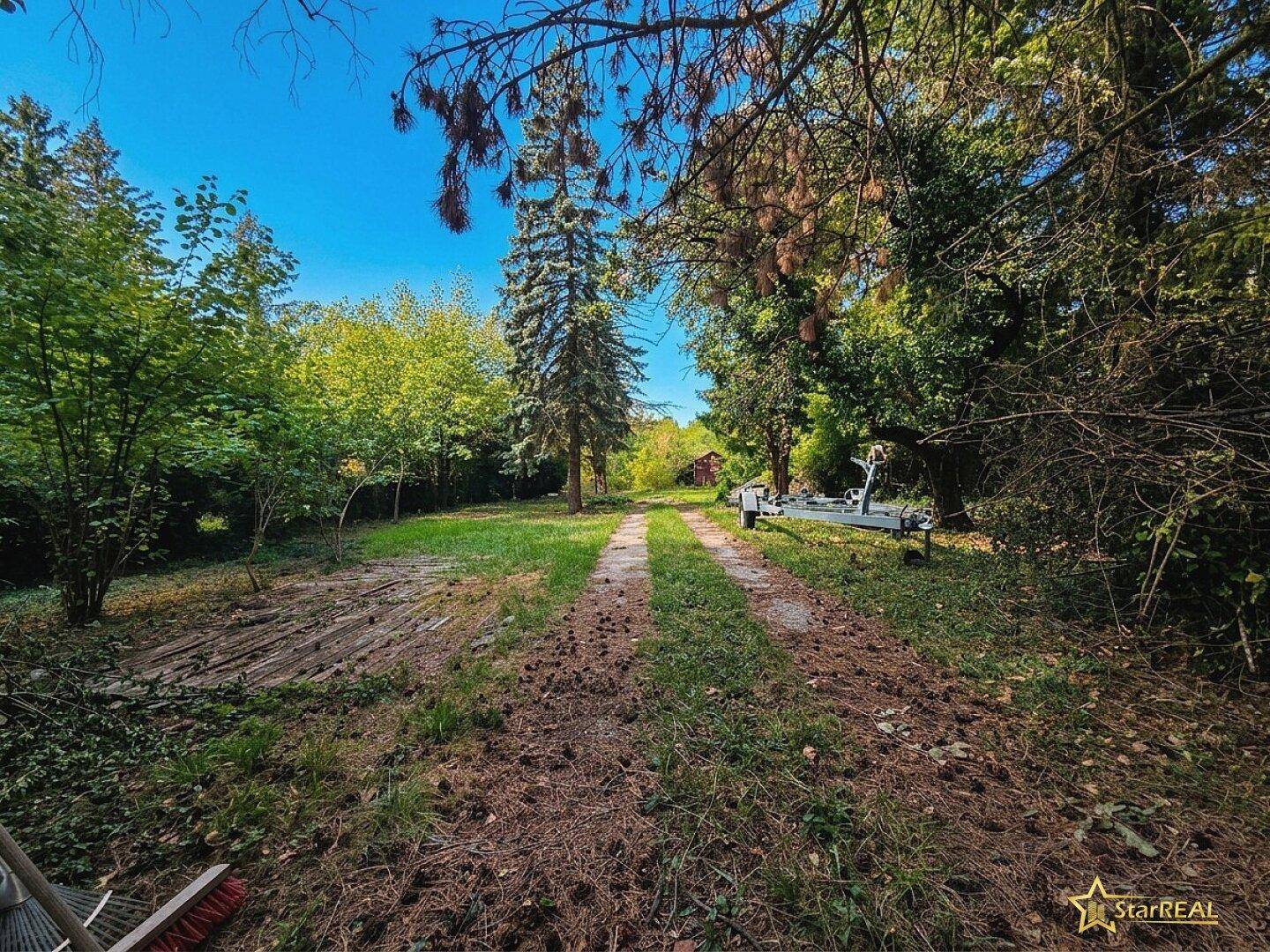 Großes, naturbelassenes Gartengrundstück mit Baumbestand und Zufahrtsweg unter blauem Himmel.