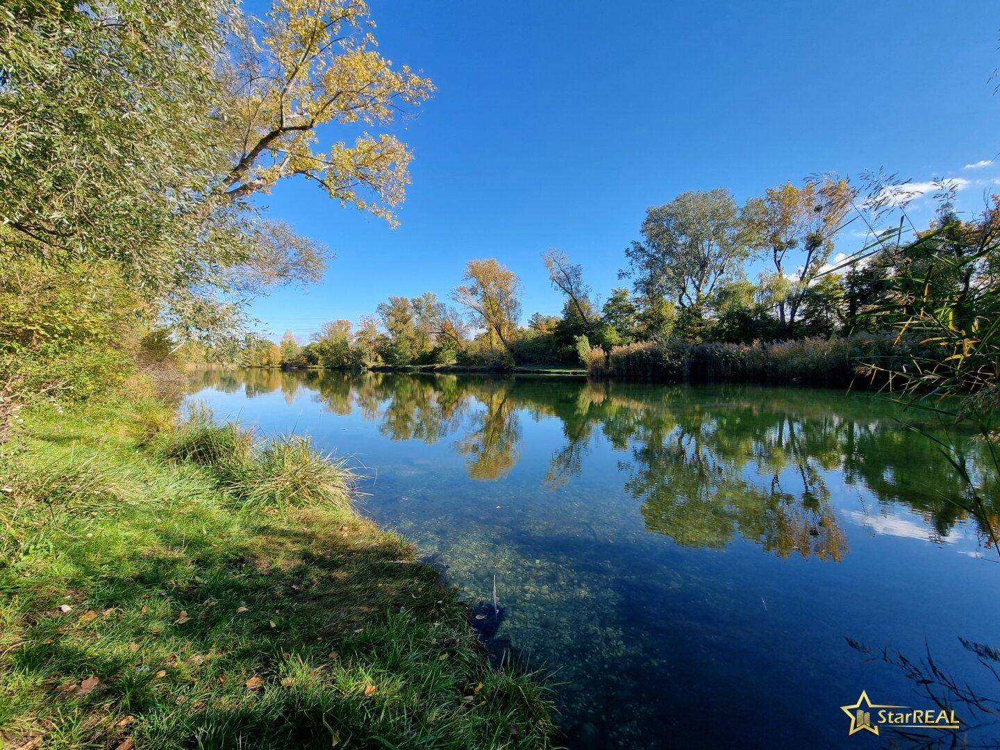 Klarer See mit spiegelnder Oberfläche, umgeben von herbstlichen Bäumen unter blauem Himmel.
