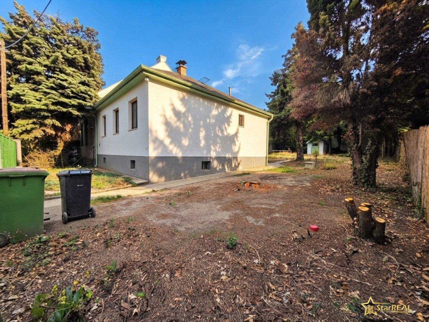 Seitenansicht des Hauses mit angrenzendem Gartenbereich und sichtbaren Baumstümpfen.