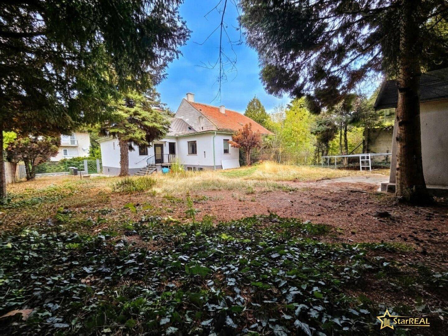 Das Haus von hinten, umgeben von hohen Bäumen und einem weitläufigen, grünen Grundstück.