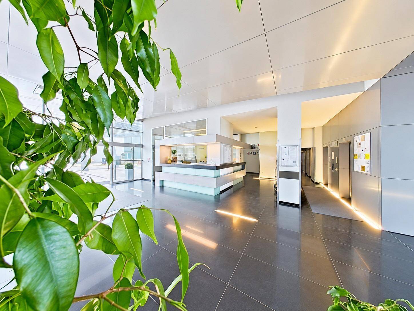 Helle und moderne Lobby mit Rezeption, Aufzügen und großen Fensterfronten.
