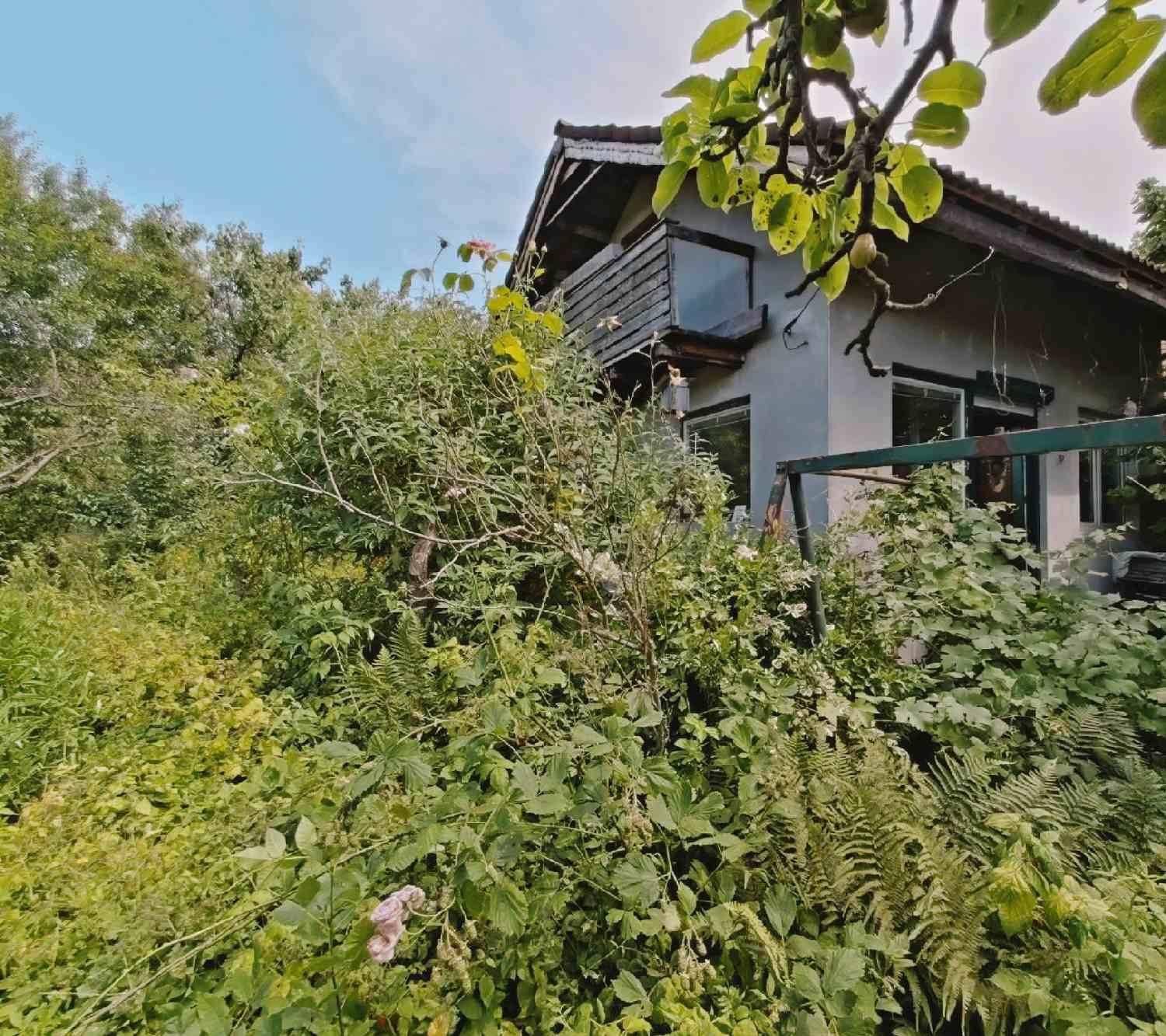 House 02