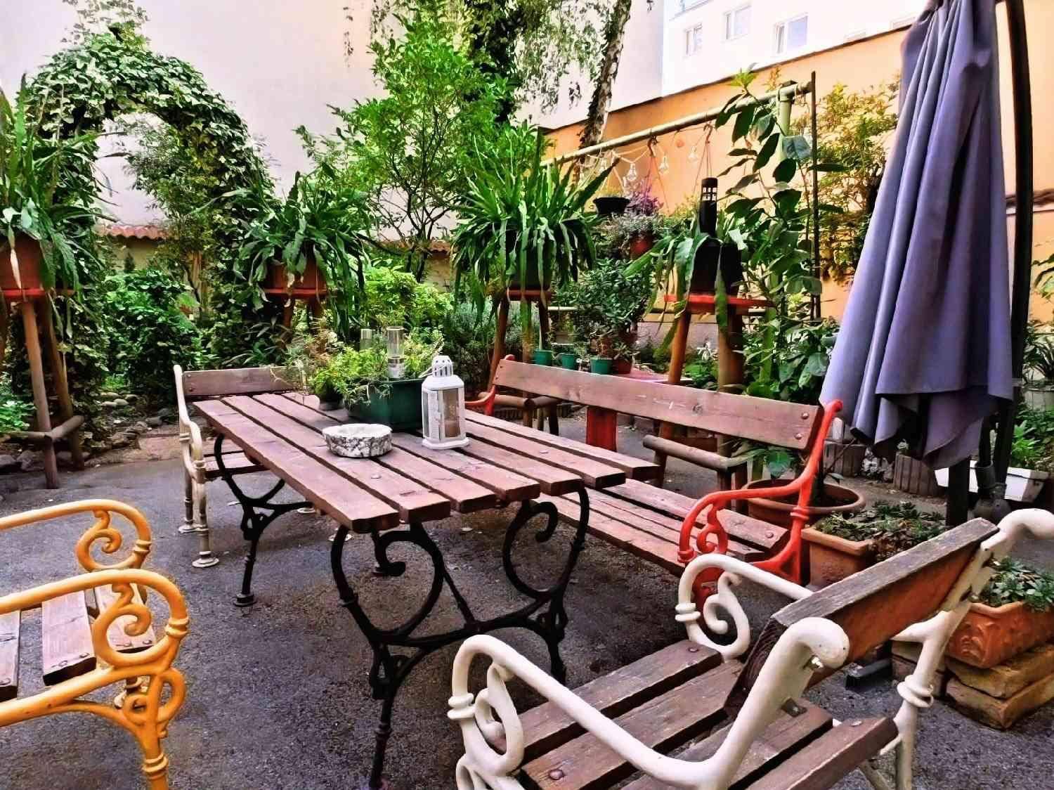 Housegarden_1