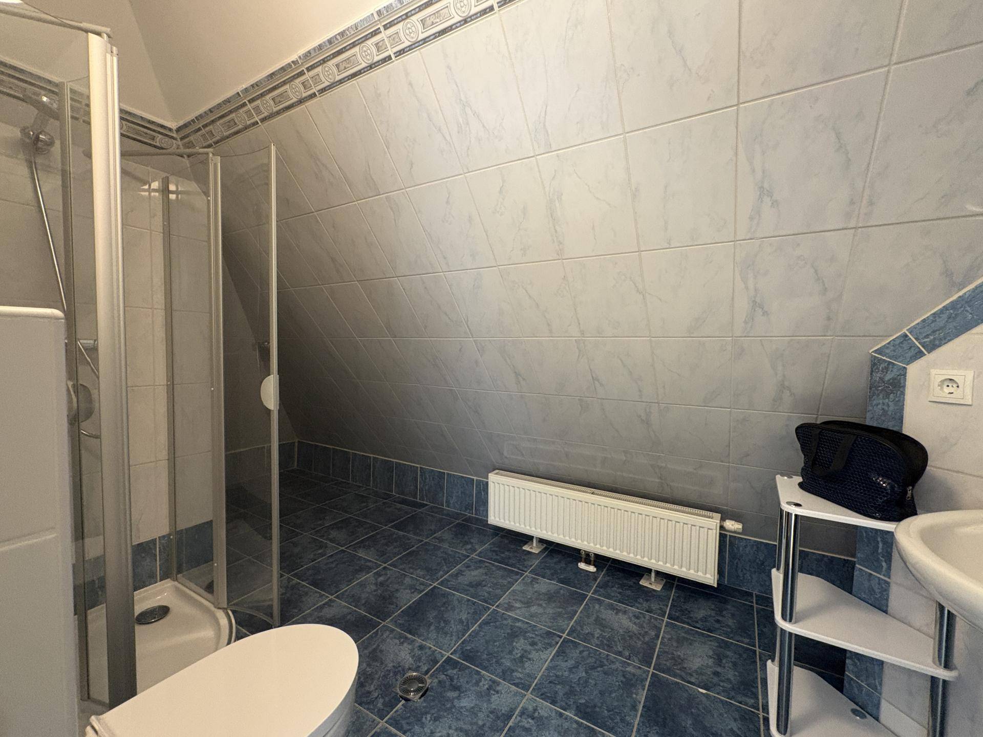 Älteres Badezimmer mit blauen und weißen Fliesen, Duschkabine und WC unter der Dachschräge.