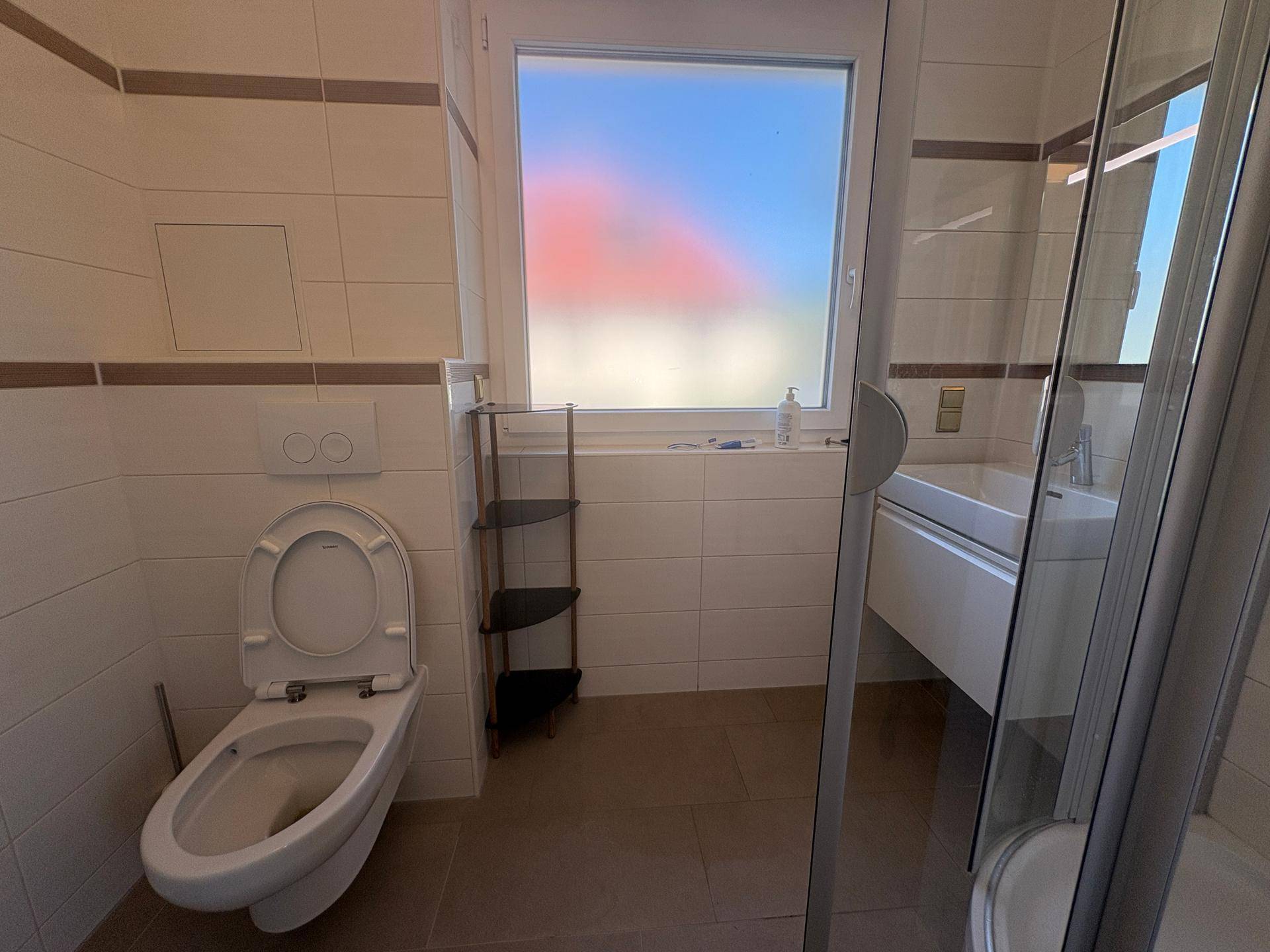 Funktionales Badezimmer mit WC, wandhängendem Waschbecken und Dusche, durch ein Milchglasfenster beleuchtet.