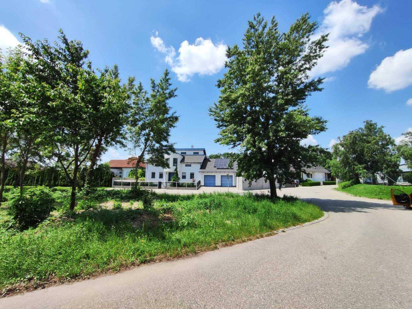 Blick auf eine ruhige Straße mit Bäumen und modernen Häusern im Hintergrund unter blauem Himmel.