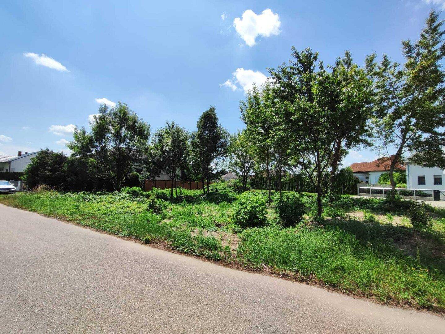 Unbebautes Grundstück mit jungen Bäumen und Grasflächen entlang einer Straße an einem sonnigen Tag.
