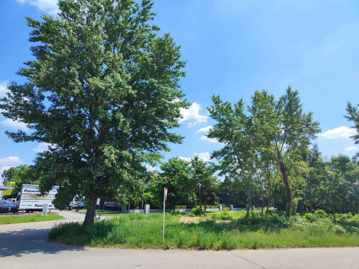 Großes unbebautes Grundstück mit Bäumen und Grasflächen neben einer Straße mit gewerblichen Gebäuden.