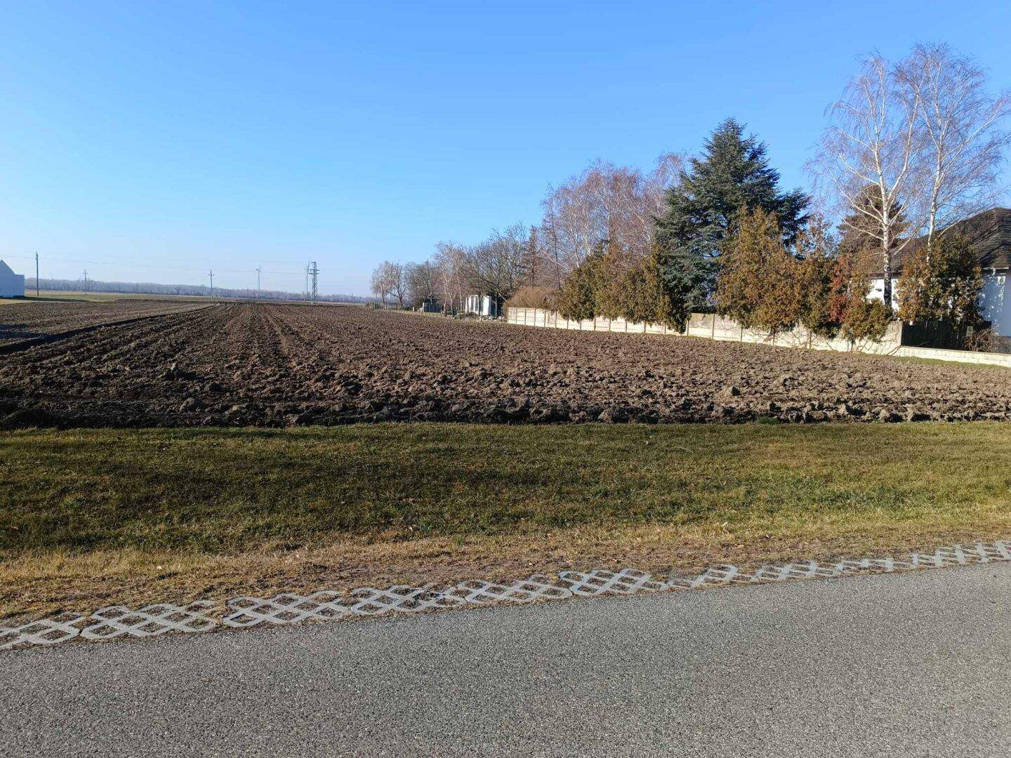 Offenes Feld mit angrenzender Vegetation und einem Wohnhaus am Horizont.
