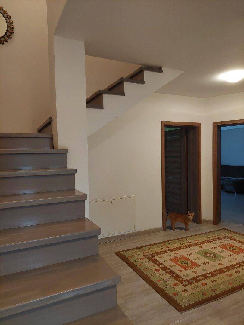 Heller Flur mit Holztreppe, gemustertem Teppich und Zugang zu weiteren Räumen.