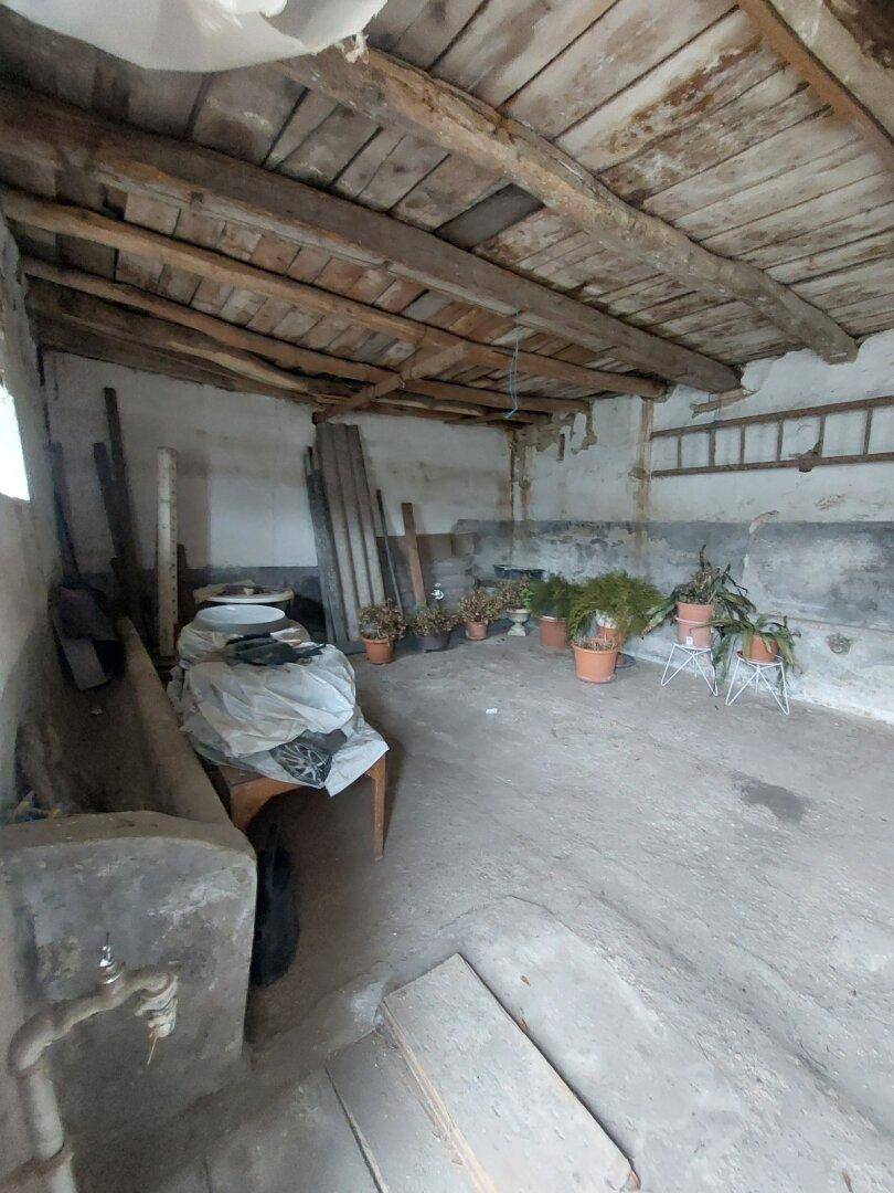 Abstellraum mit Betonboden, Holzbalken, Topfpflanzen und einem einfachen Waschbecken.