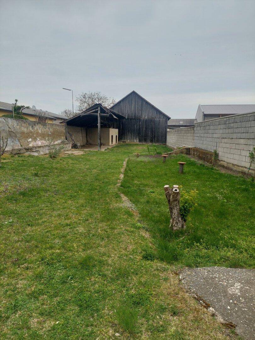 Große Rasenfläche mit einem alten Holzschuppen im Hintergrund, ideal für Gartenaktivitäten.