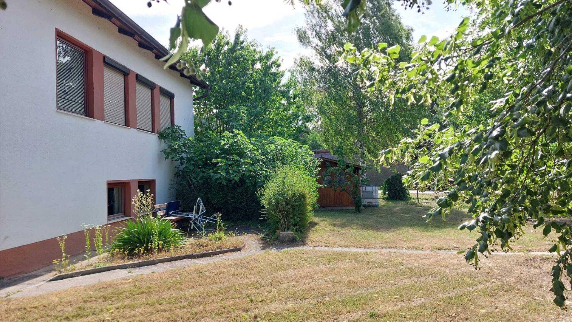 Seitenansicht des Hauses mit Sträuchern und einem kleinen Holzschuppen im Garten.