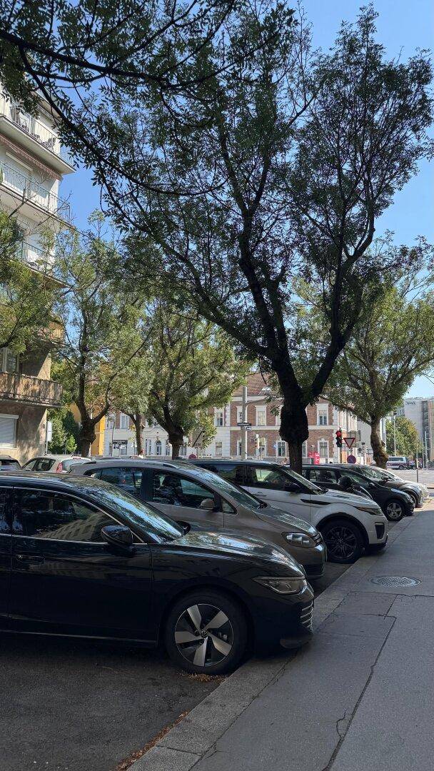 Reihe von parkenden Autos entlang einer von Bäumen gesäumten Straße in der Stadt.