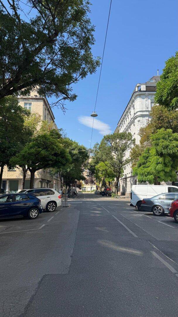 Ruhige Stadtstraße mit Bäumen, parkenden Autos und historischen Gebäuden.