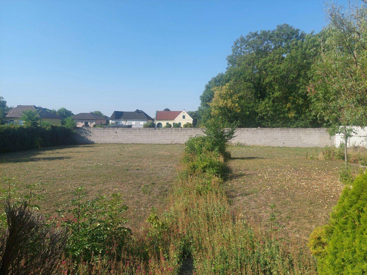 Großer, ungenutzter Gartenbereich mit Rasen und Bäumen im Hintergrund.