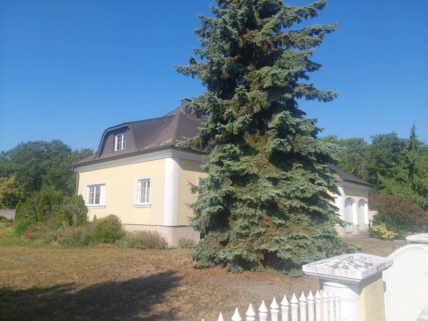 Seitenansicht des gelben Hauses mit einem großen Nadelbaum im Vordergrund und einem gepflegten Gartenbereich.