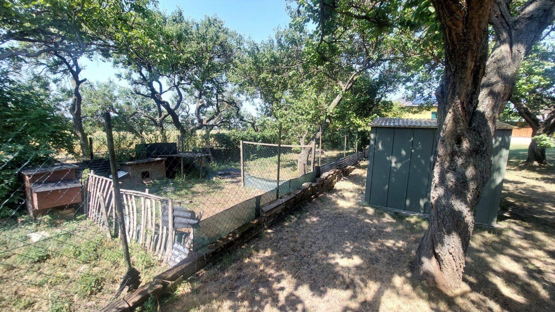 Großer Gartenbereich mit alten Bäumen, Zaun und Tiergehegen.