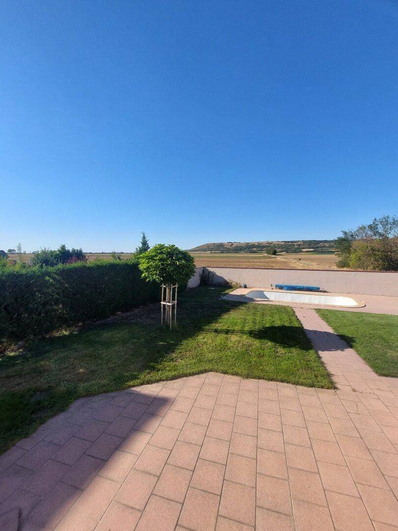 Grüner Gartenbereich mit gepflastertem Weg, jungem Baum und Blick auf die Felder.