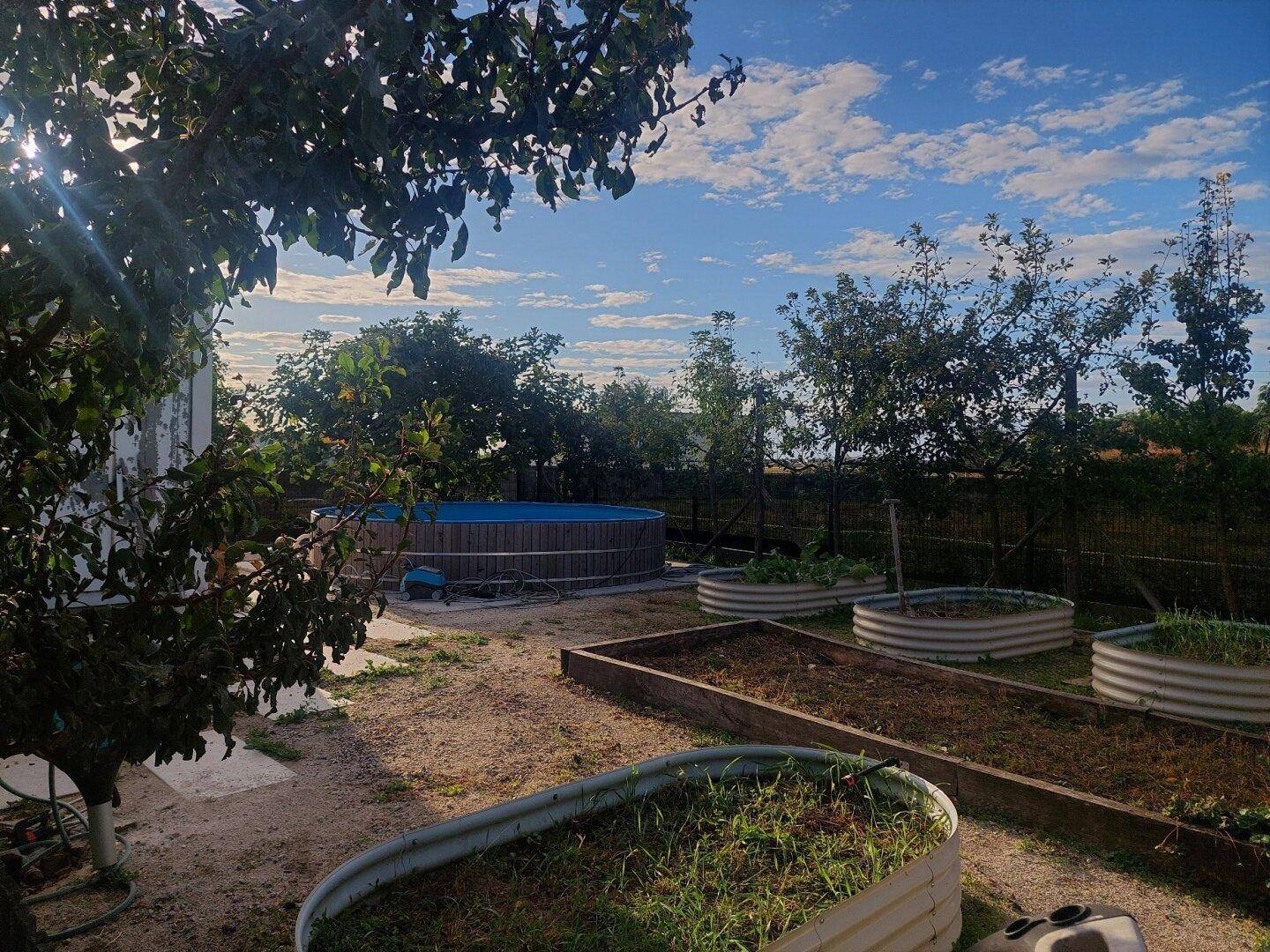 Nutzgartenbereich mit Hochbeeten, Aufstellpool und Obstbäumen im Hintergrund.