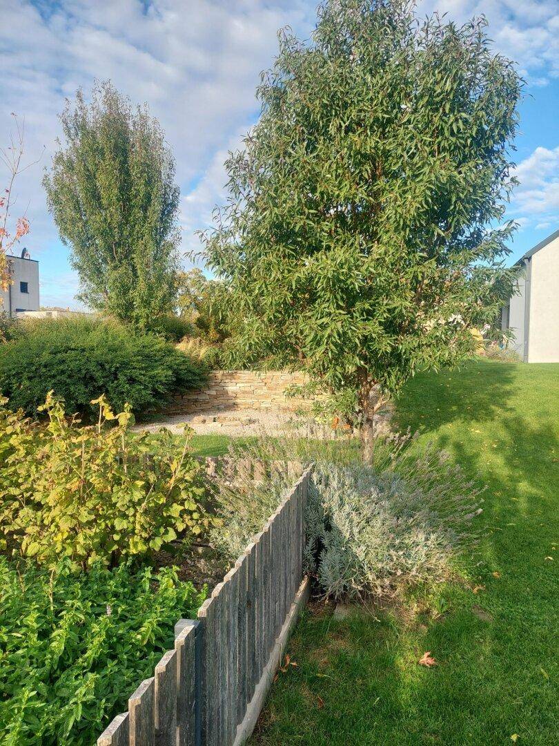 Naturnaher Gartenbereich mit Holzzaun, vielfältiger Bepflanzung und Steinstufen.