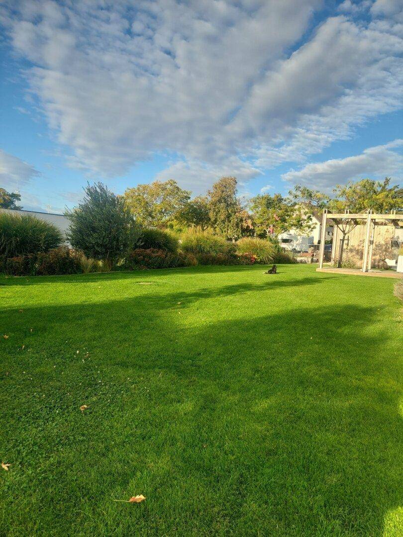Weitläufige Rasenfläche im Garten mit Blick auf die Pergola und das Haus.