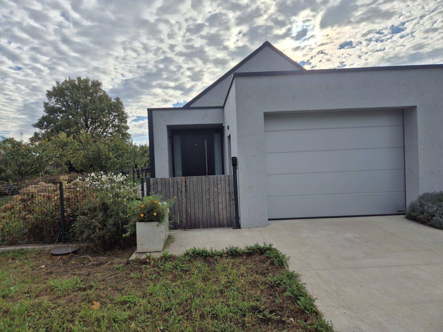 Eingangsbereich des Hauses mit moderner Architektur und integrierter Garage.