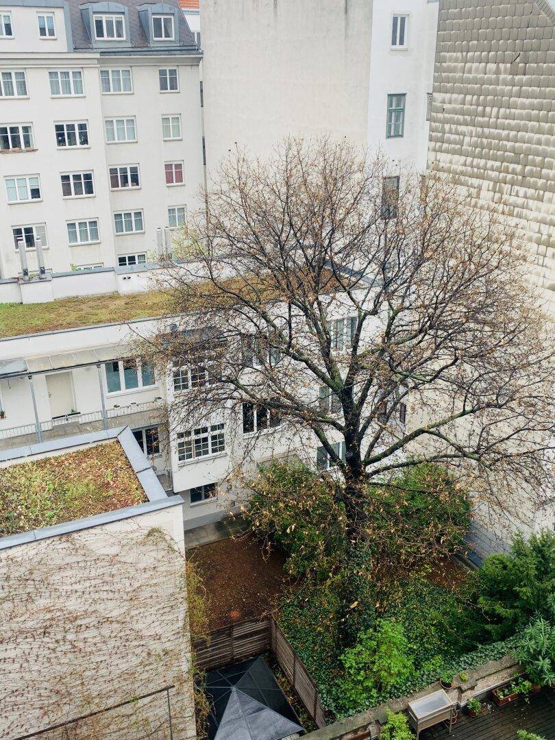 Blick von der Loggia
