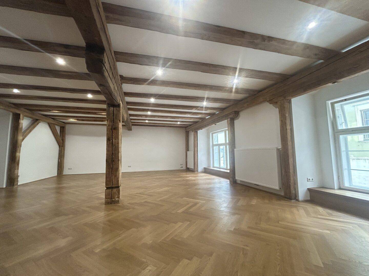 Loft/Wohnküche