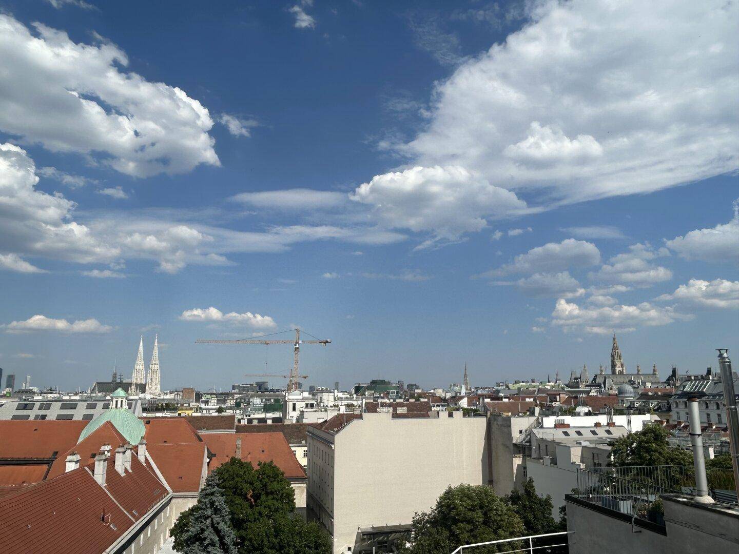 Blick