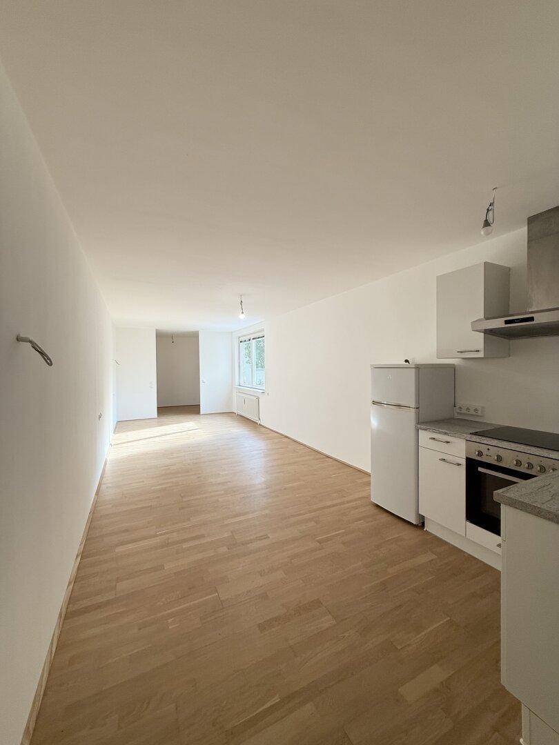 Wohn/Küche/Schlafzimmer