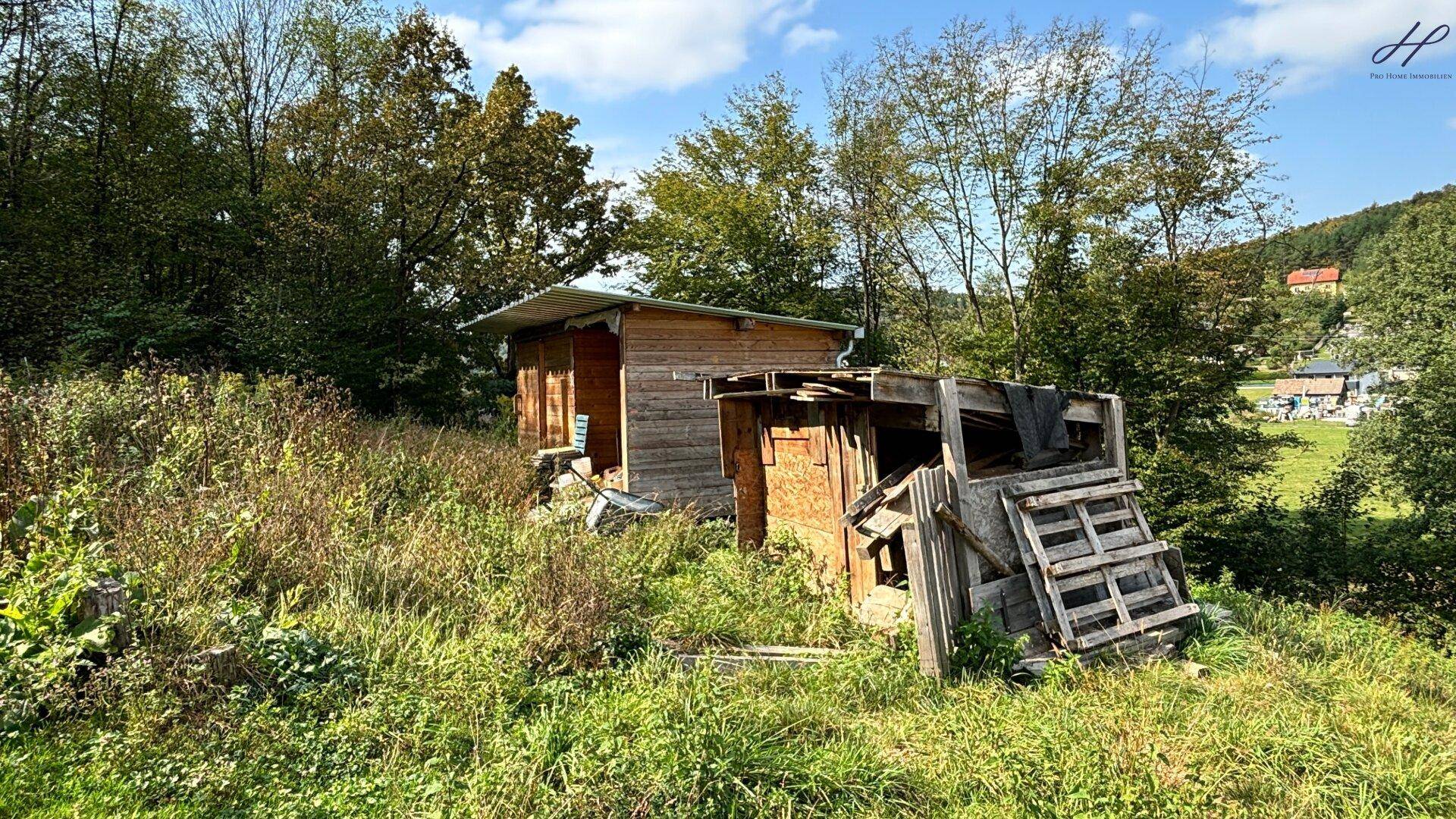 Rustikaler Holzschuppen in einer grünen, naturbelassenen Umgebung mit hohem Gras.